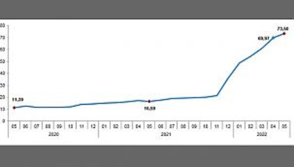Yıllık Enflasyon Yüzde 73.50 ile Rekora Koşuyor