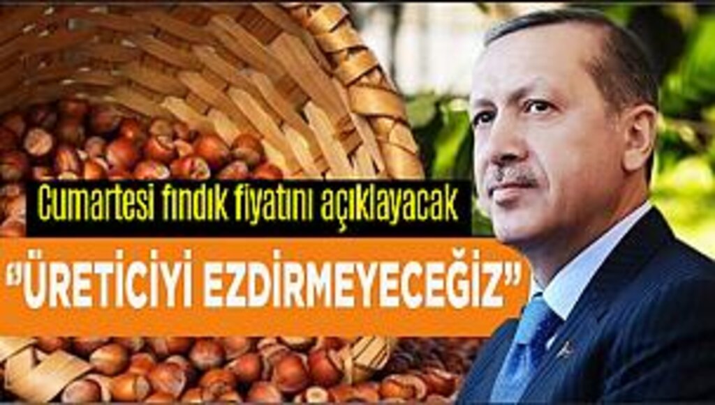 Fındık alım fiyatları Cumartesi açıklanacak