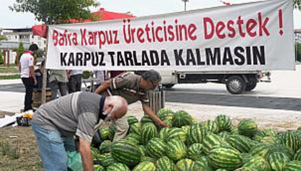 Atakum Belediyesi'nden Bafralı karpuz üreticisine destek