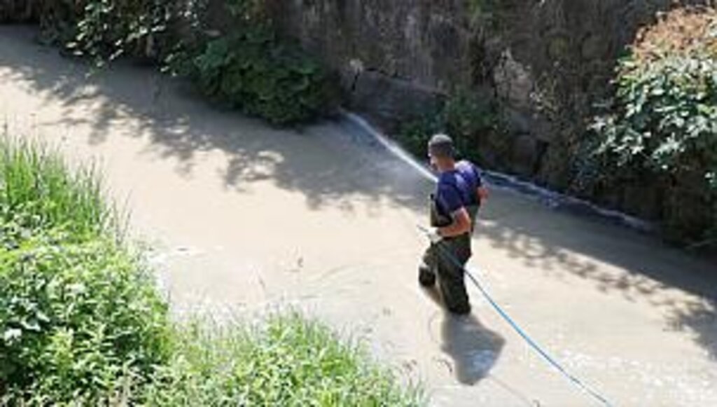 Havza'yı sivrisinek bastı belediye ilaçlama başlattı