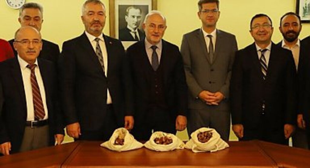 19 Mayıs ‘a Kestane Ormanı Kuruluyor