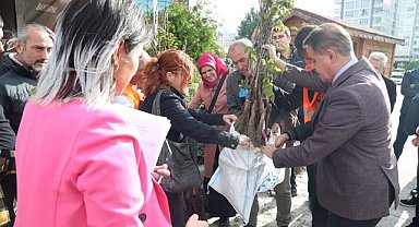 Atakum Belediyesinden üreticiye ceviz fidanı desteği