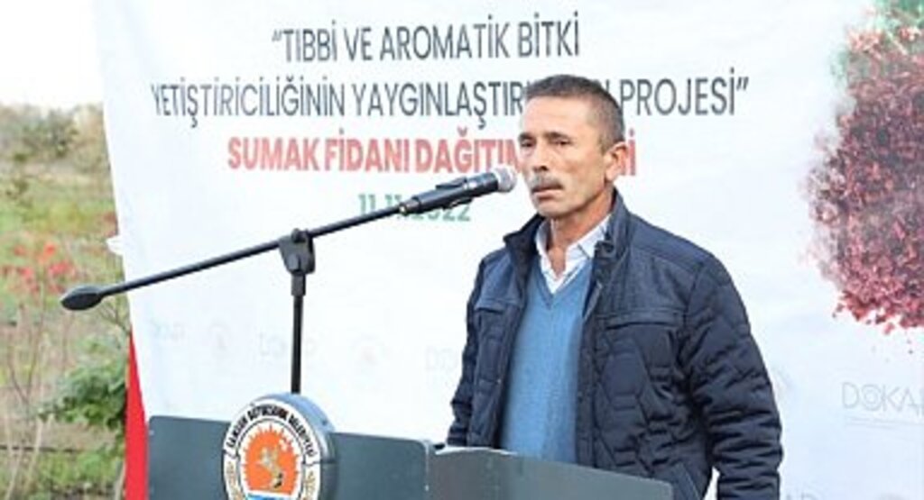 Samsun'da Sumak Bahçeleri Kuruluyor