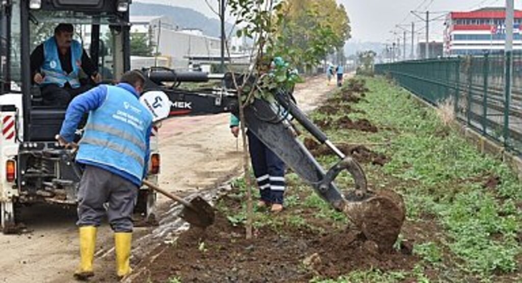 Tekkeköy’de 1500 fidan toprakla buluştu