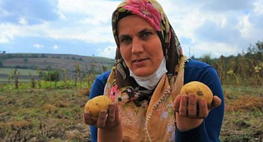 Büyükşehirden çiftçiye fidan ve tohum desteği
