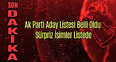 Ak Parti Aday Listesi Belli Oldu Sürpriz İsimler Listede