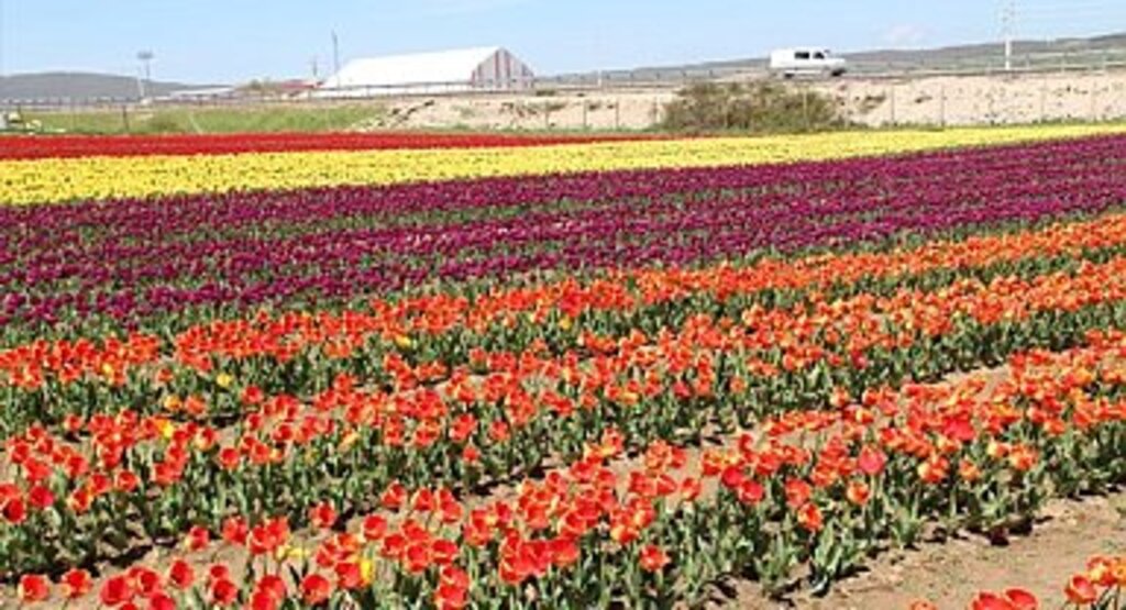 ORHAN KIRCALI: KADIN GİRİŞİMCİLİĞİNİ DESTEKLEMEYE DEVAM EDECEĞİZ