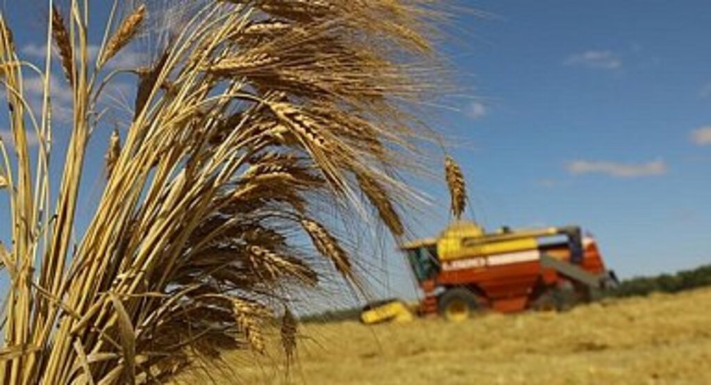 Buğday ve arpa alım fiyatları açıklandı