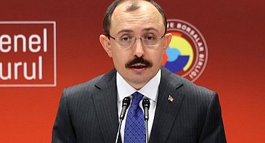 Mehmet Muş, Plan Bütçe Komisyonunda Görevlendirildi