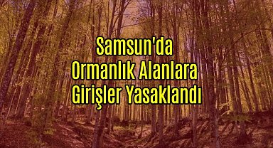 Samsun'da Ormanlık Alanlara Girişler Yasaklandı
