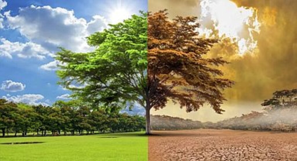 BM: Küresel ısınma dönemi bitti küresel kaynama dönemine girdik