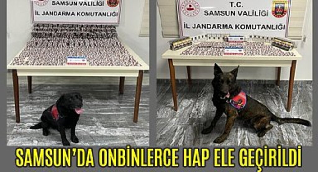 Samsun İl Jandarmadan Uyuşturucu Operasyonu