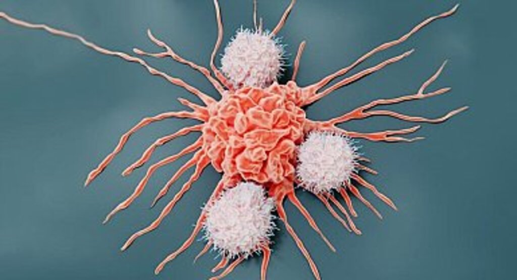 Kanserli hücreleri yok eden kemoterapi hapı geliştirildi