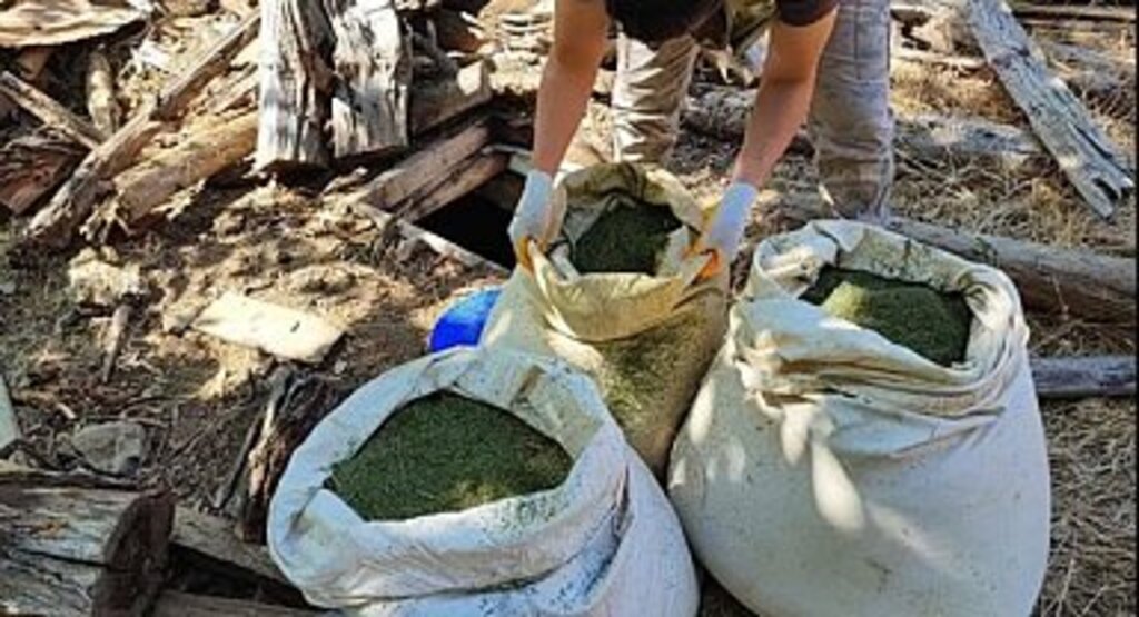 Zehir tacirlerine büyük operasyon 72 gözaltı