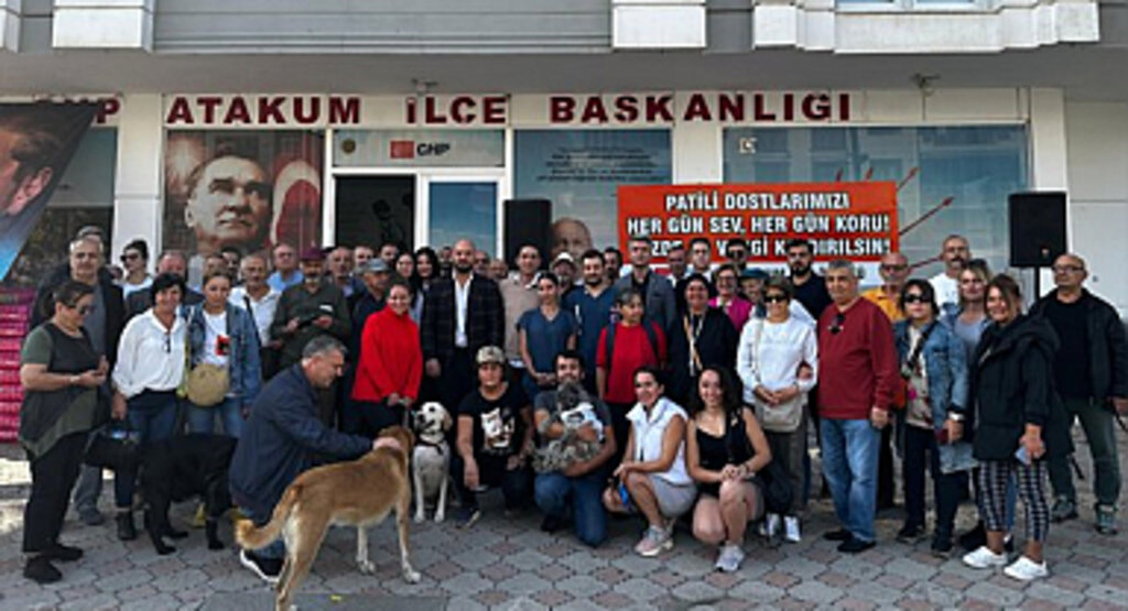 Atakum'da patili dostlar için 1 ton mama dağıtıldı
