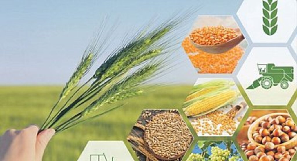 Tarımsal üretim planlaması uygulaması hayata geçiriliyor