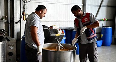 Büyükşehir bir yılda 190 ton mama üreterek can dostlara destek oldu