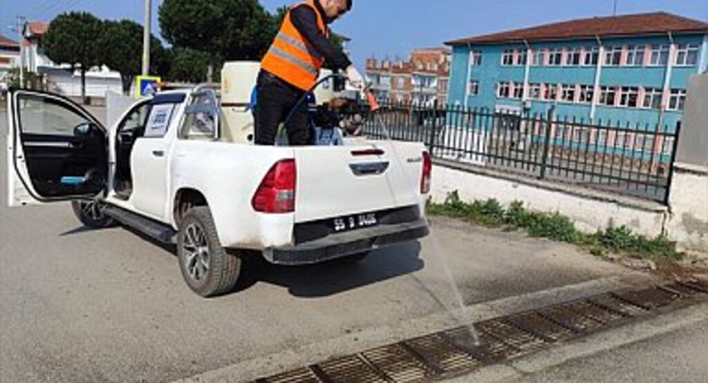 Bafra'da Karasinek ve Sivrisinek ile Zorlu Mücadele