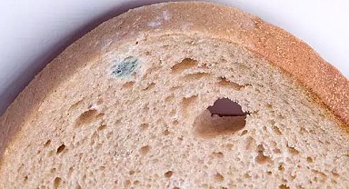 Küflü Ekmek Tüketmek Zehirlenme Sebebi