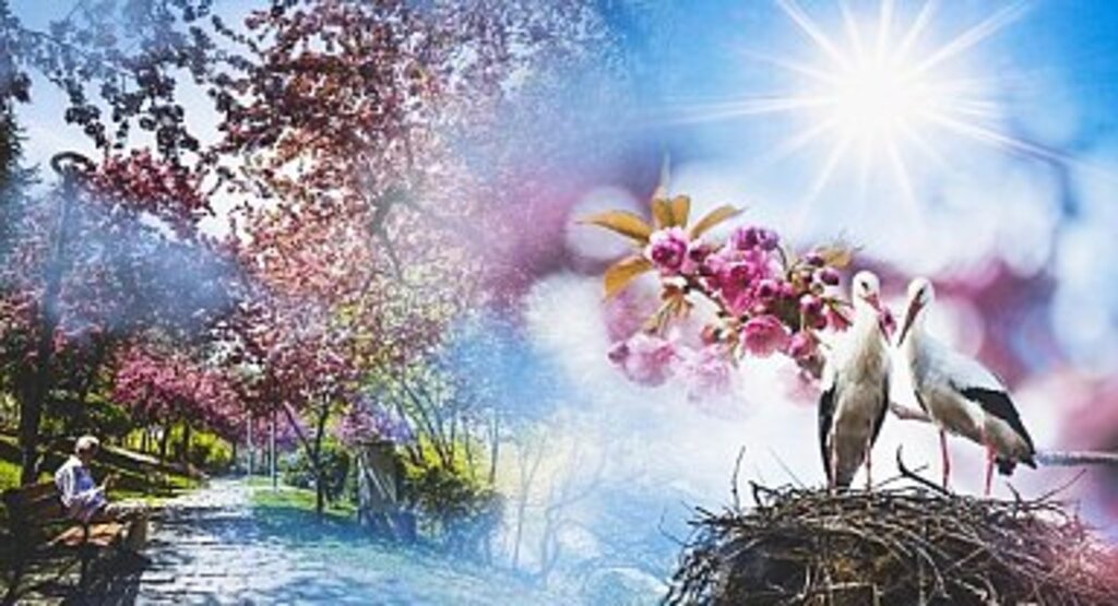 Samsun'da Hava Sıcaklığı 30 Dereceyi Bulacak