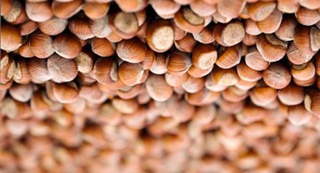 FERRERO, YENİ DÖNEM HEDEFLERİNİ AÇIKLADI