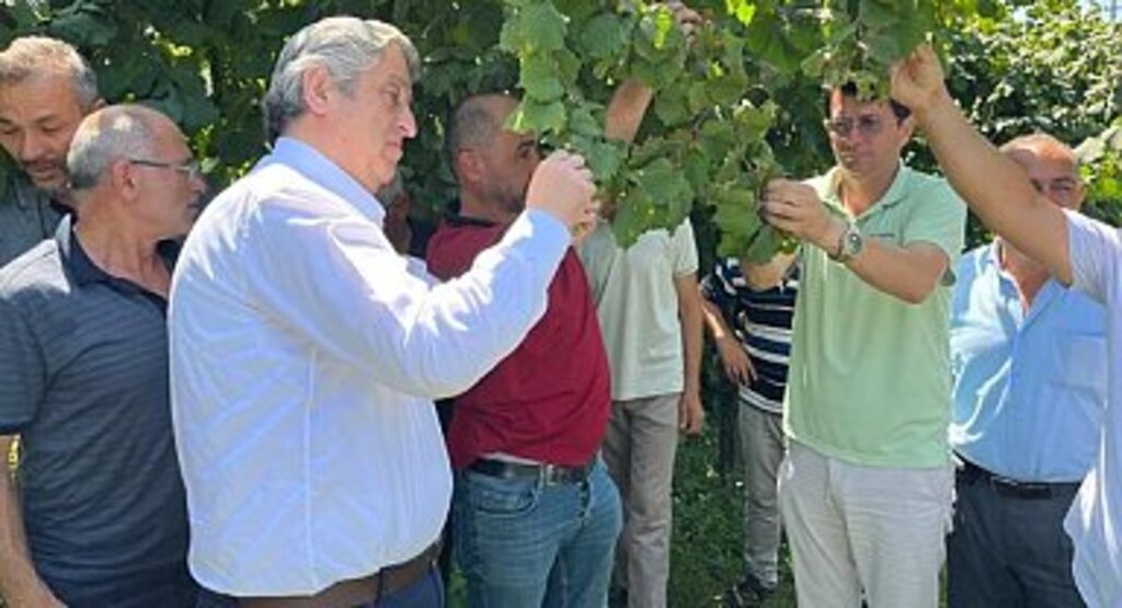 Fındık Üreticisi 160 Lira Fiyat Bekliyor