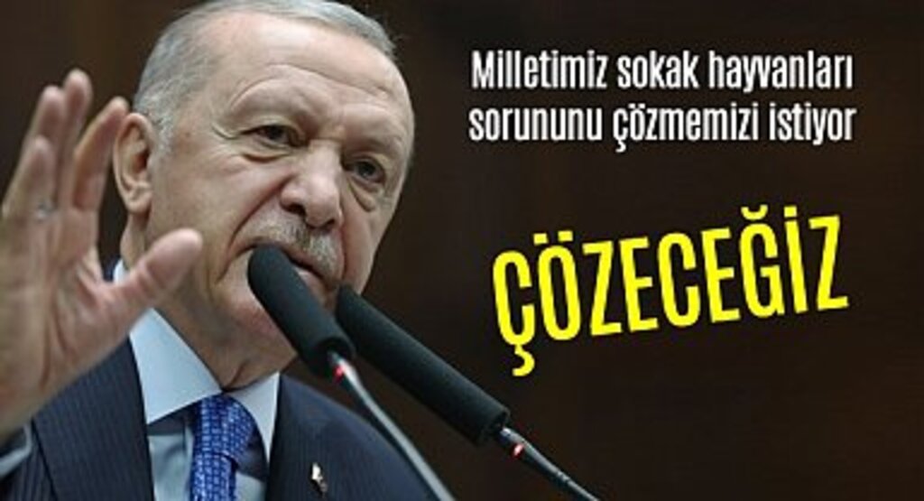 Sokak Hayvanları Meselesi Çözülüyor