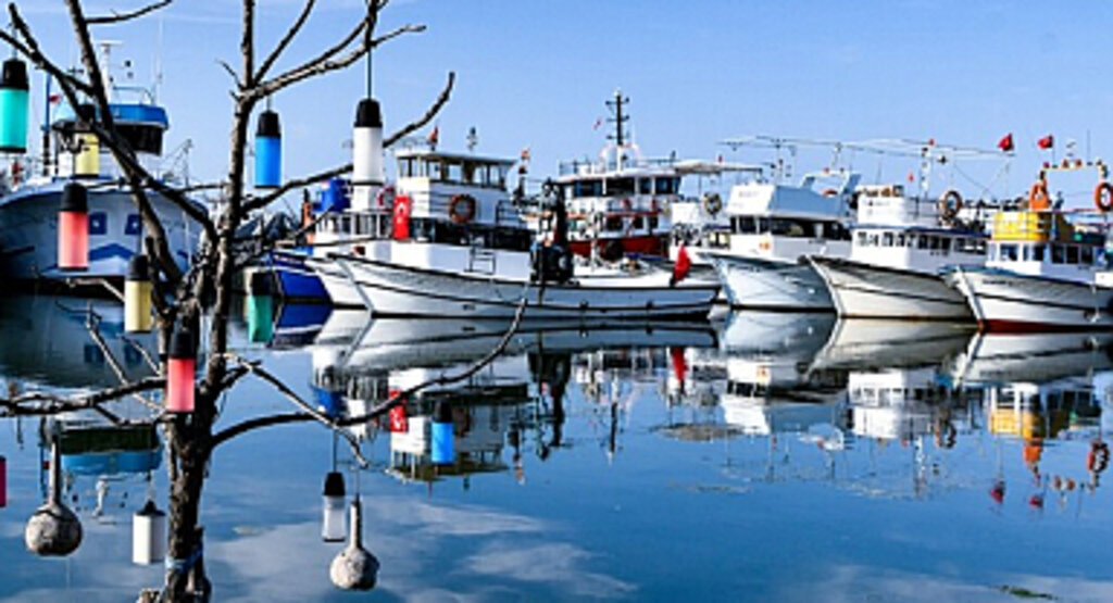 BALIK SEZONU BU GECE BAŞLIYOR