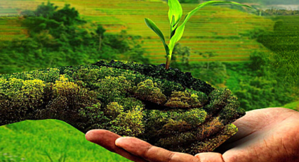 Tarımda yeni dönem: İşlenmeyen tarım arazileri kiraya verilecek