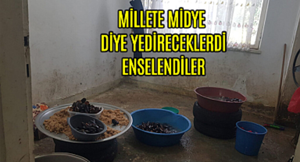 İlkadım Zabıtasından 'midye' operasyonu