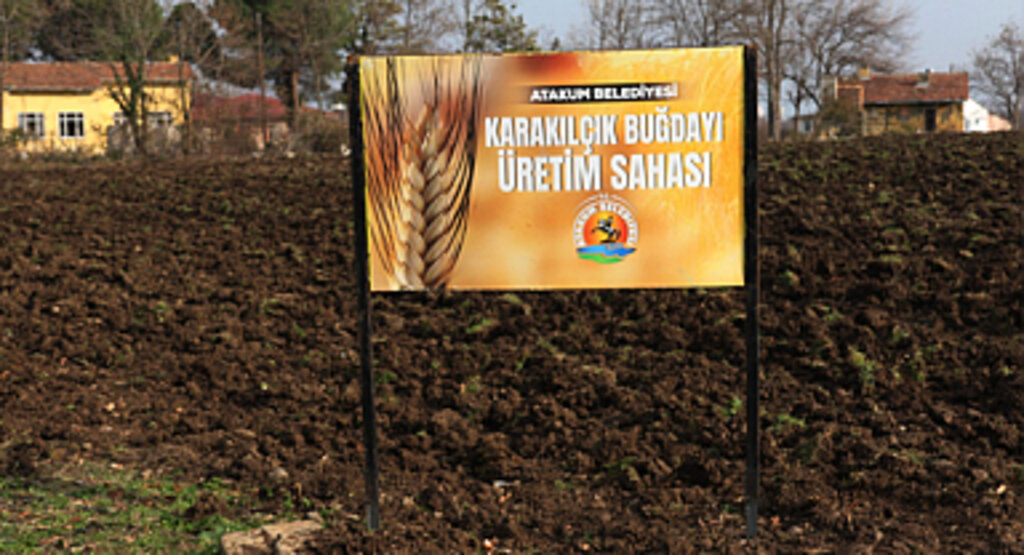 Başkan Türkel’den tarımsal üretime destek