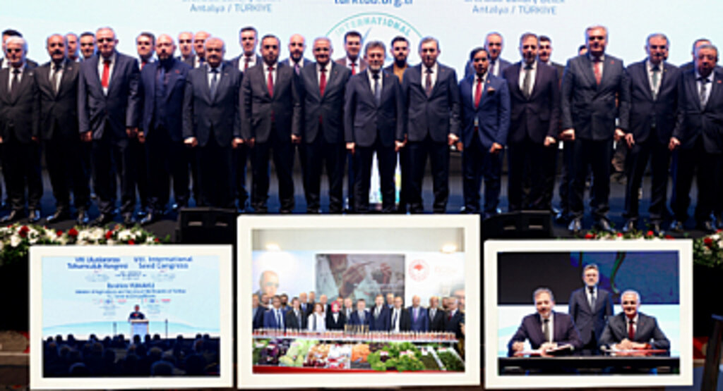 Türkiye Artık Kendi Tohumunu Kendi Üretiyor