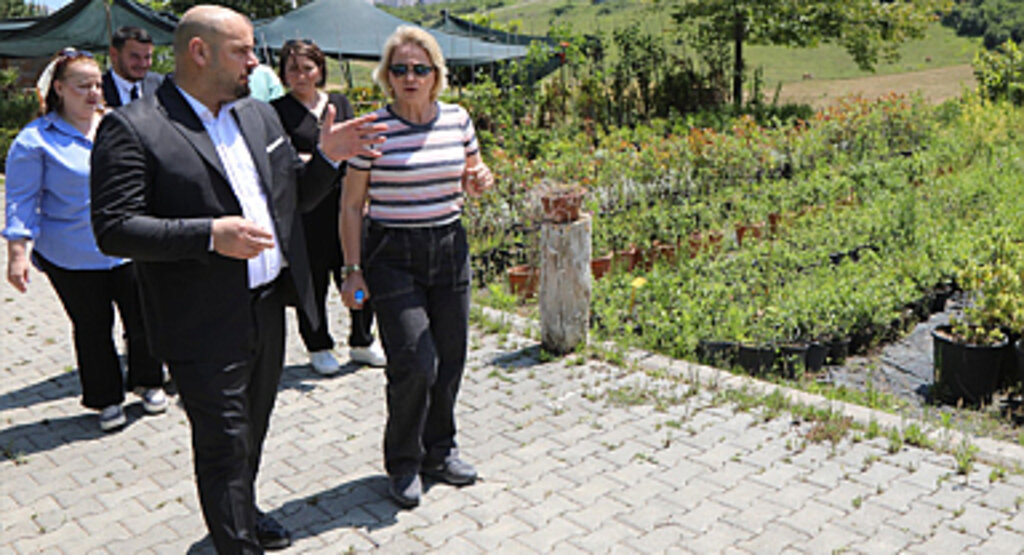 Atakum Belediyesi Yeşil Atakum İçin Seferber Oldu