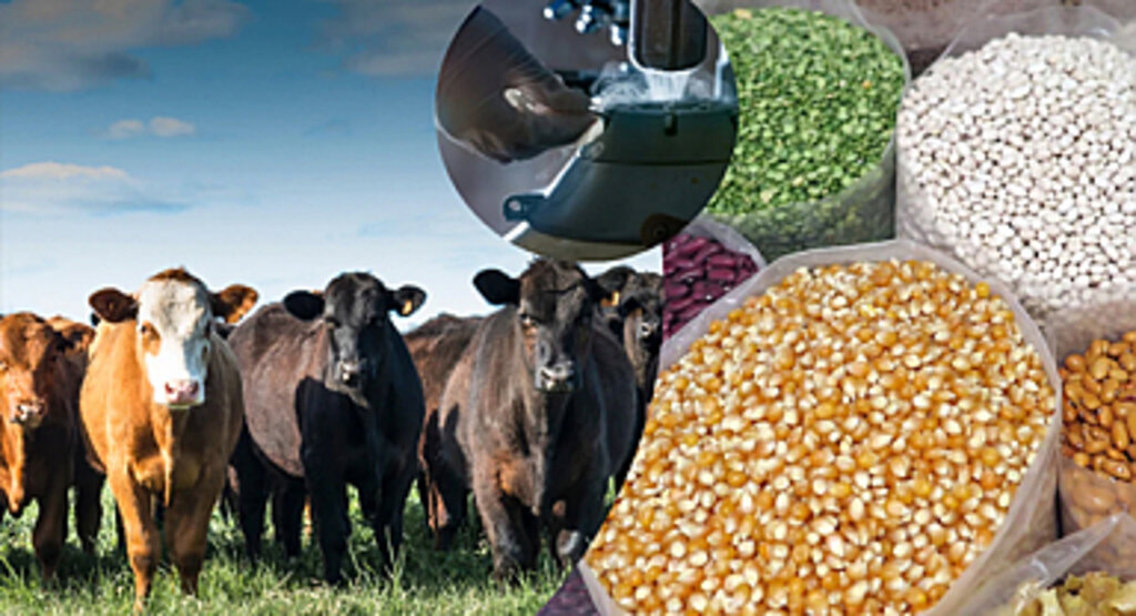 Çiftçilerin 2 milyar 298 milyon tarımsal destekleme ödemesi hesaplarına aktarıldı