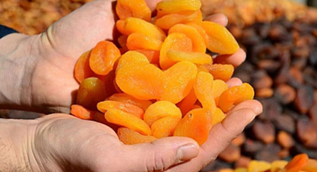 Kuru meyve ihracatı 2 milyar dolara yaklaştı