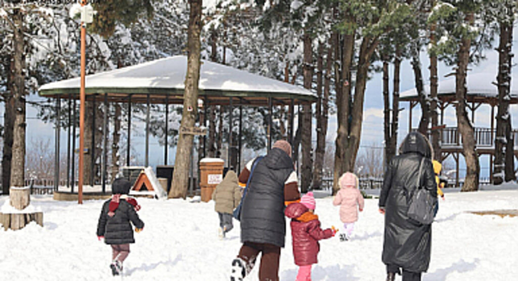 Okullar 15 ilçede 1 gün tatil edildi