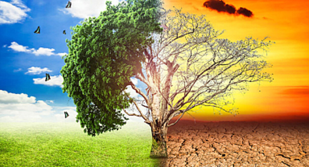 Türkiye’nin ilk “İklim Kanunu” teklifi hazır