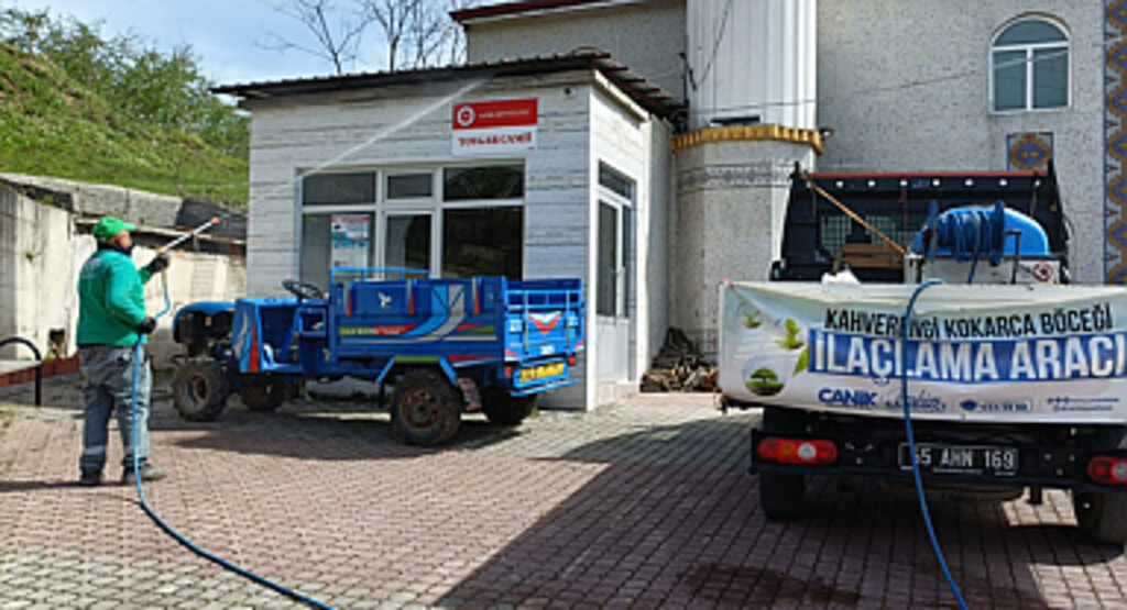 Canik'te Kokarca Böceğiyle Mücadele Devam Ediyor