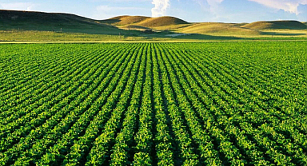  Tarım ürünleri fiyatları Mart ayında uçuşa geçti