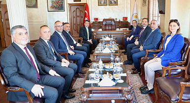 Büyükşehirden Kahverengi kokarca ile mücadele: Samuray arıları salındı