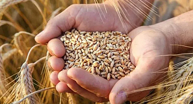 Hububat alım ve destek fiyatları açıklandı