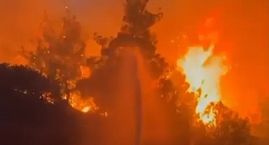 5 günde 342 yangın: 6 noktada alevler sürüyor