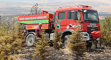 Amasya’da otluk alanda başlayan yangın ormana sıçradı