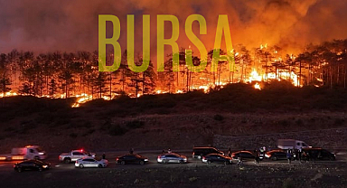 Bursa orman yangınında sabotaj şüphesi: FETÖ'cü eski asker benzin bidonları ile yakalandı