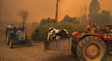 İzmir'de orman yangınlarıyla mücadele gece gündüz devam ediyor