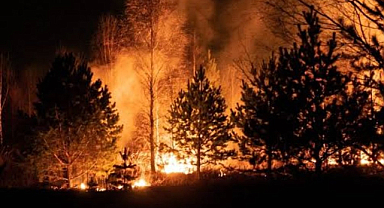 Orman Yangını Faciası: 10 Personel Alevlerin Arasında Şehit Oldu