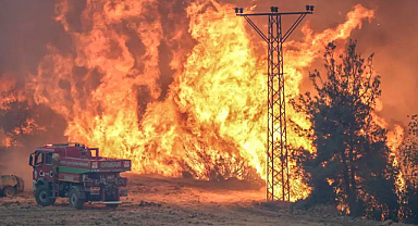 Sakarya-Bilecik orman yangını kontrol altında: Duman ve koku Eskişehir'e ulaştı