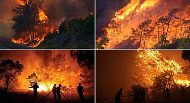 Son 10 günde çıkan 761 yangının tamamı kontrol altına alındı