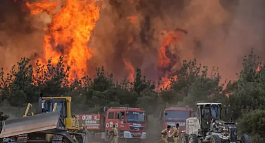 Tekirdağ'da çıkan orman yangını kontrol altına alındı