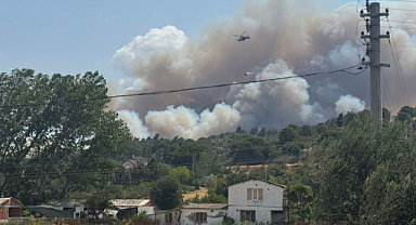 Çanakkale’de orman yangını: Üniversite yerleşkesi ve bazı bölgeler tahliye ediliyor